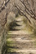 chemin
