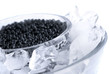 Black caviar Black caviar