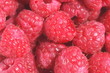 Photo: Himbeeren (Makroaufnahme) Himbeeren (Makroaufnahme)