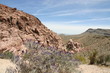 Red Rock, Amerika