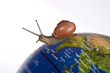 Slow tourism