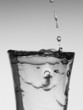 Shot of vodka