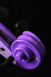 Violin scroll
