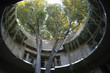 Architecture écologique