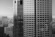 shadow of the bird on a skyscrapers in warsaw