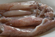 calamari calamari