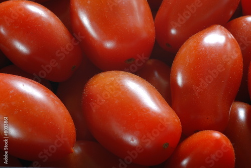 pomodori pomodori