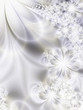 Beautiful flowers