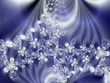 Beautiful flowers