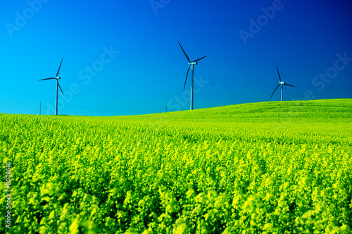 Photo: Wind turbines. Wind turbines.