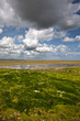 marais des veys 01 marais des veys 01