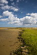 marais des veys 02