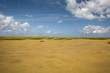 Baie des Veys 09
