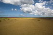 Baie des Veys 11
