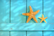 Starfish on an old rustic door