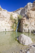 oasis