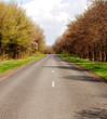 Highway