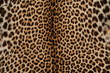 Peau de guépard