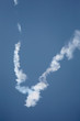 Victory Symbol on the sky