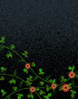 Night vine