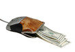Electronic purse