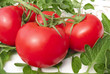 Tomaten