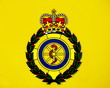 Ambulance Crest