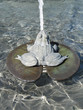 Foto: frog fountain frog fountain