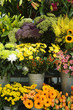 Street shop with colorfull flowers