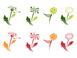 Flower signature/logo Flower signature/logo