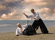 aikido