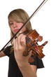 Violin