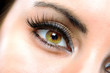 The macro female eye
