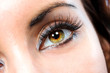 The macro female eye