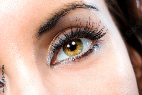 Photo: The macro female eye The macro female eye
