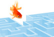 The Goldfish and the labyrinth