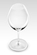 CSP Wine Glass 2 CSP Wine Glass 2