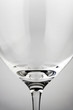 CSP Wine Glass 5 CSP Wine Glass 5