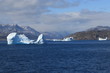 Eisberge vor Grönland Eisberge vor Grönland