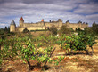 Carcassonne 15