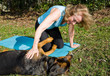 Dog Lover