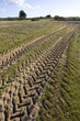 macro of tractor tyre's trace