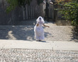 A bride walking down steps