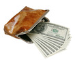 Opened purse with dollars