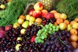 fruit