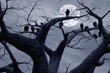 Spooky Vultures