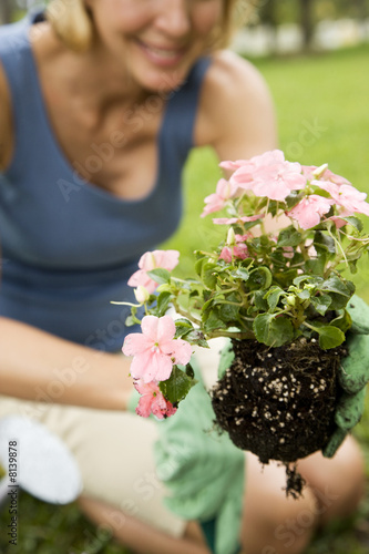 Photo: cropped image woman planting new plant cropped image woman planting new plant