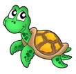 Little sea turtle