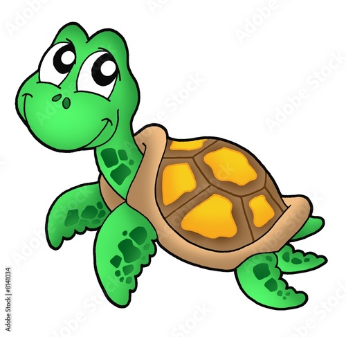 Little Sea Turtle