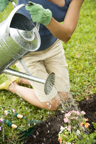 Photo: woman watering plant in flowerbed woman watering plant in flowerbed